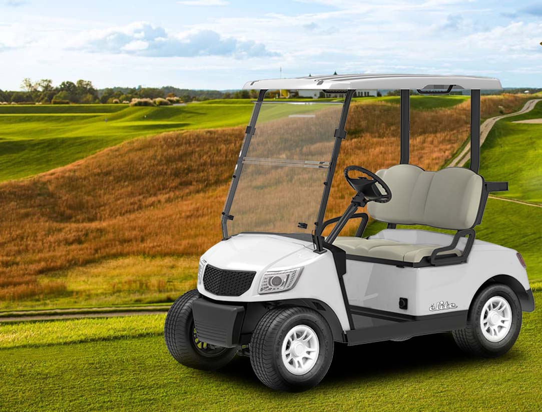 elite golf cart 2 seater